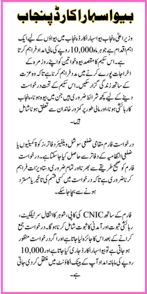 CM Punjab Bewa Sahara Card Application Process Easy Step-by-Step Guide