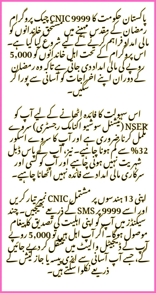Check Your 9999 CNIC Status Online in 2 Minutes Step-by-Step Guide