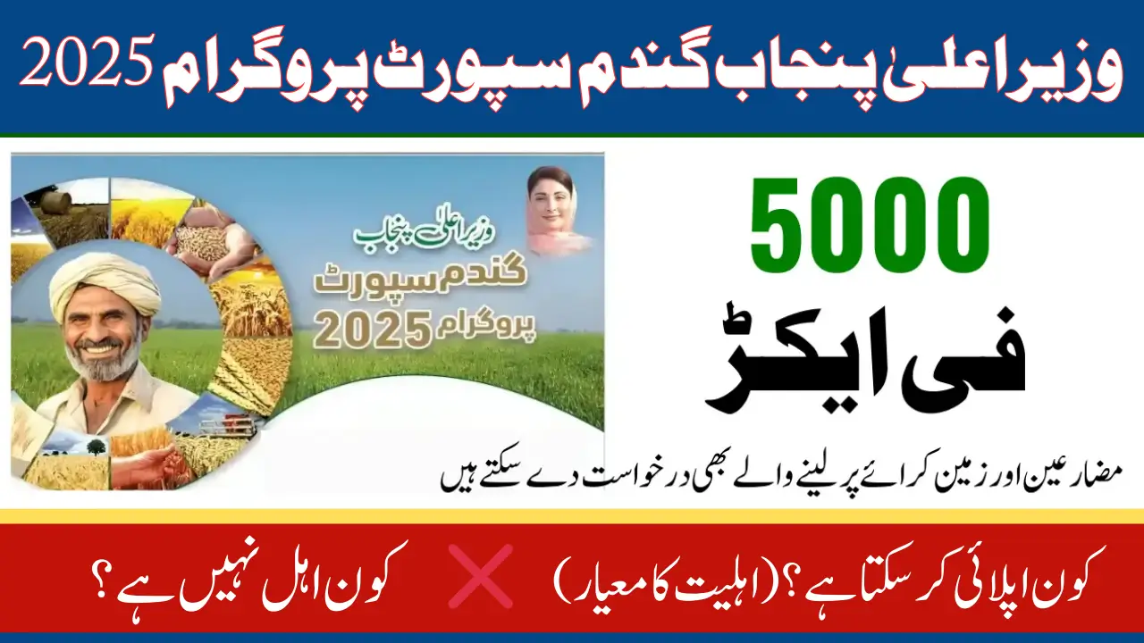CM Punjab Wheat Support Program 2025 Online Registration Who is Eligible
