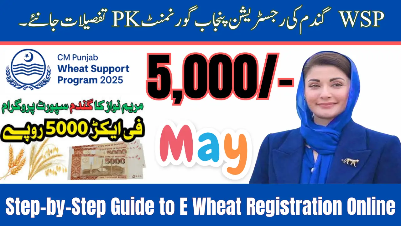 E Wheat Registration Online Via WSP 2025 Punjab Gov PK Know the Details