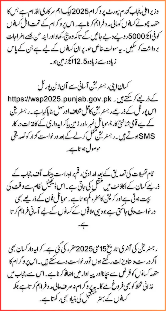 E Wheat Registration Online Via WSP 2025 Punjab Gov PK Know the Details