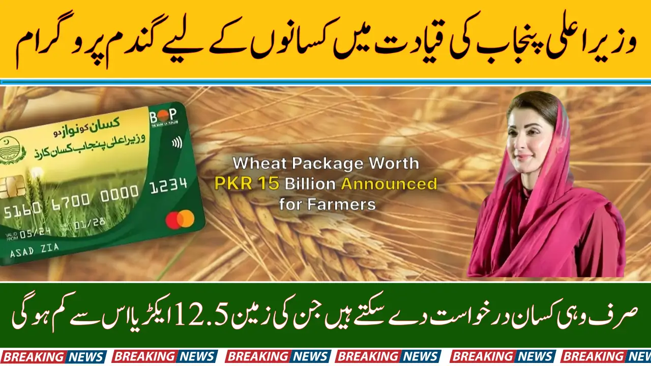 Punjab Wheat Support Scheme 2025 How to Apply Online