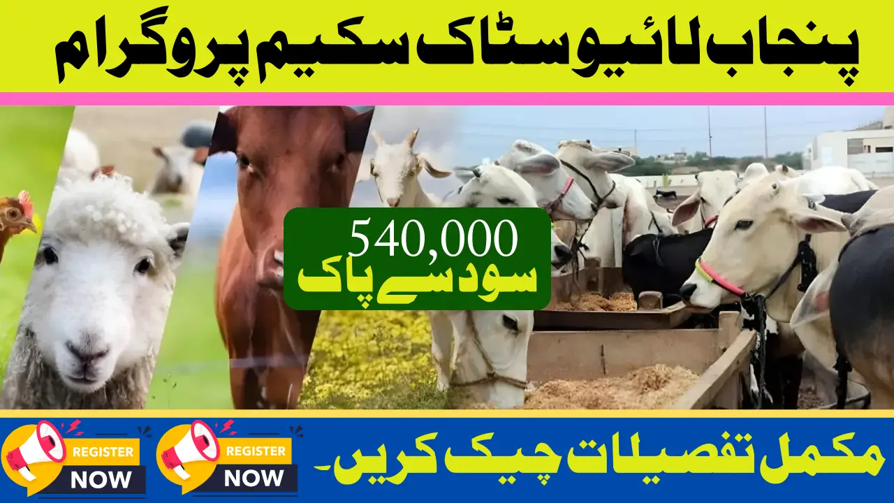 Punjab Livestock Loan Scheme 2025 Get Rs. 540,000 Interest-Free | Check Complete Details
