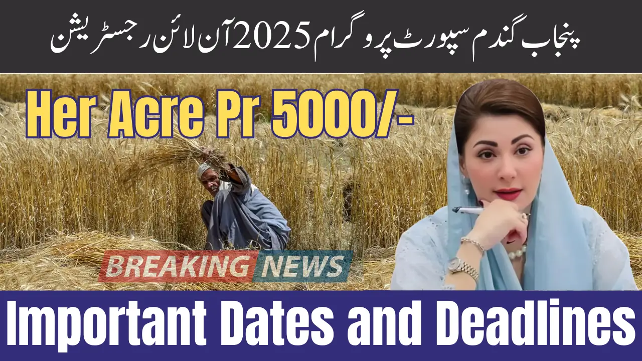 Punjab Wheat Support Program 2025 Online Registration How to Get 5000 Per Acre