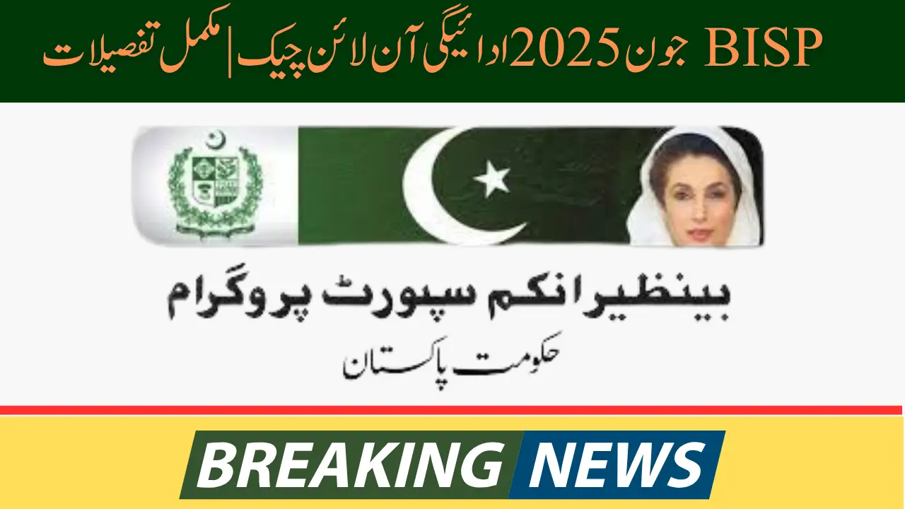 BISP June 2025 Payment Online Check | Complete Details