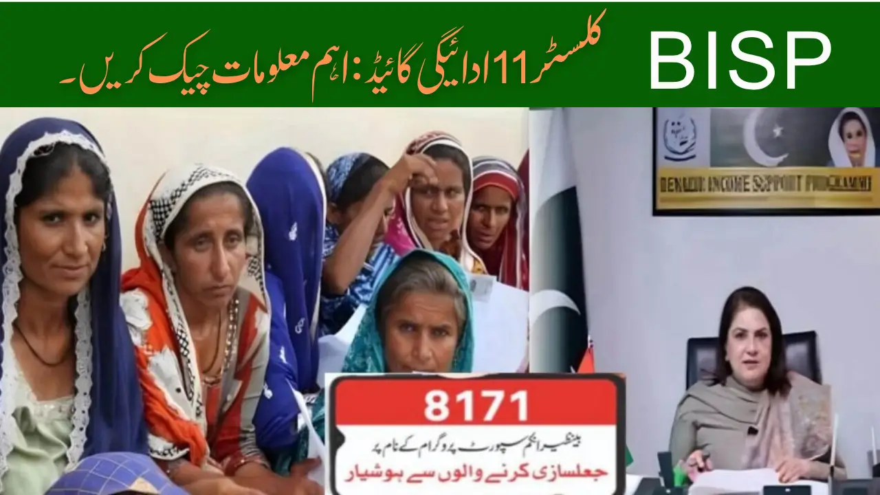 BISP Cluster 11 Payment Guide Check Important Requirements